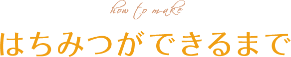 はちみつができるまで