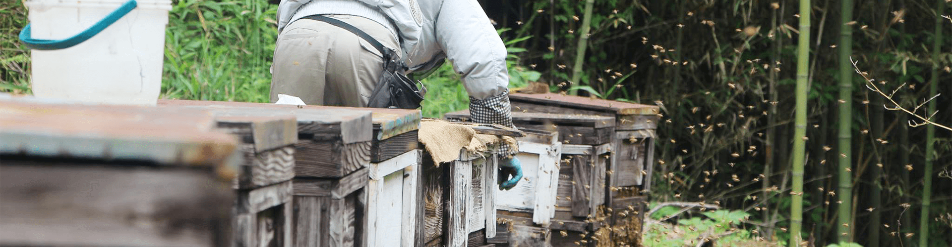 西川養蜂場について